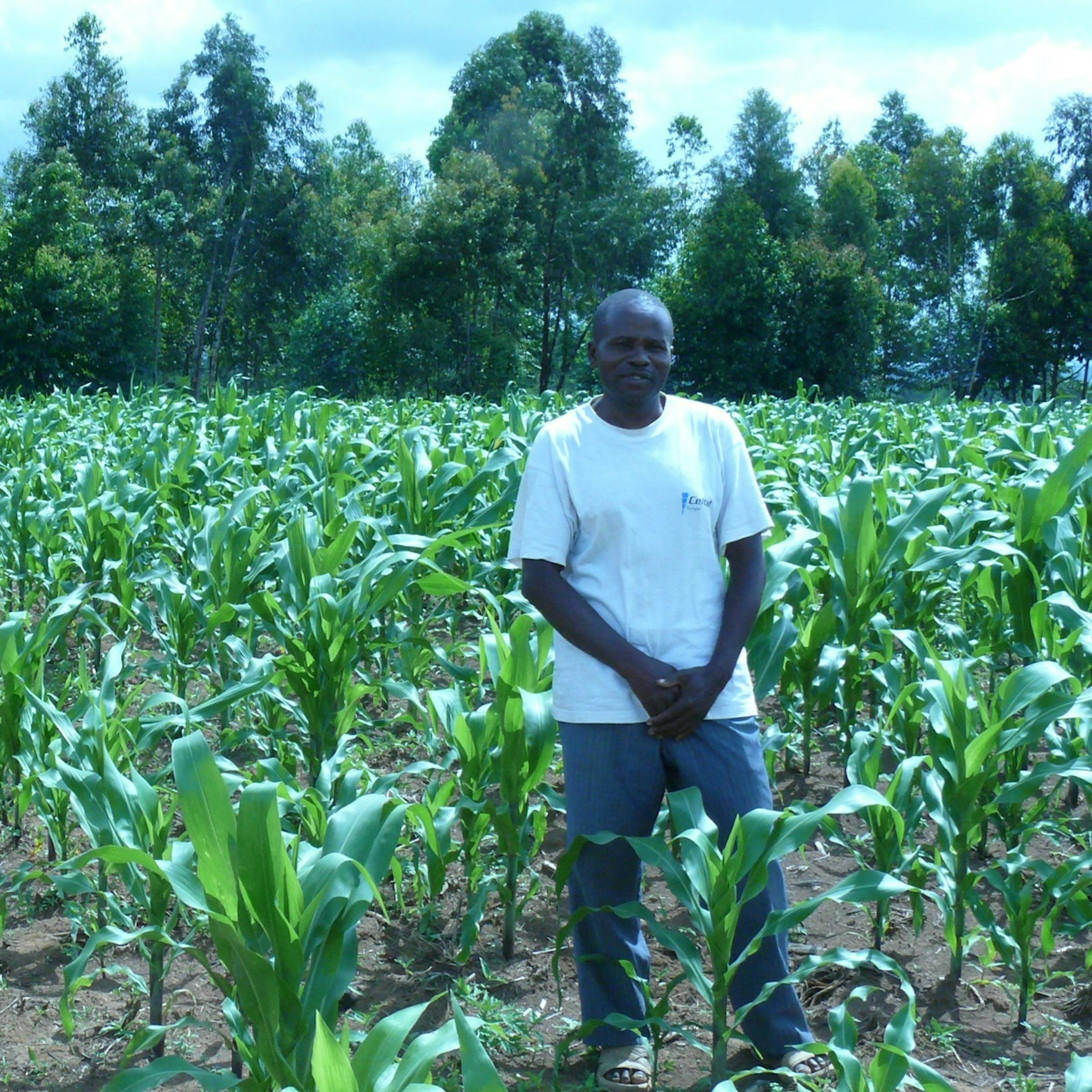 ecae0410-daba-ce50-75a8-0fde69585b0e